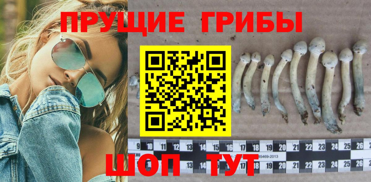 Псилоцибиновые грибы Cubensis  Вход с VPN  Ливны 